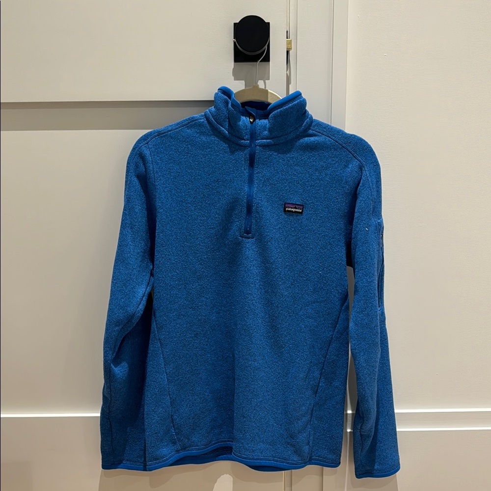 Patagonia Blue Fleece Pullover